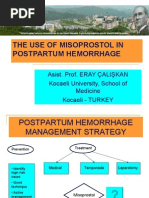Download Misoprostol in postpartum hemorrhage by dreraycaliskan SN14273038 doc pdf