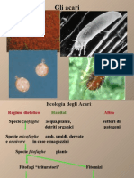 Acari Sintesi PDF