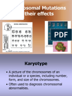 Chromosomal Mutations