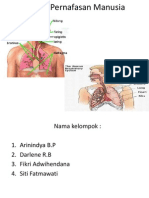 Persentation Bio KELOMPOK 1