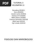 Download Tifoid Fix by Ranvabesa Cakra Laksa Cita SN142750116 doc pdf