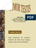 Tumor Testis