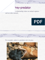Prey-Predator: Prey-Predator Is A Relationship Where An Animal Captures and Eat Other Animals