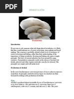 Download Industrial Uses of Fungi 2 by Kevin Patterson SN142765672 doc pdf