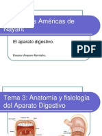 APARATO_DIGESTIVO