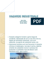 Proiect - Hazarde Industriale