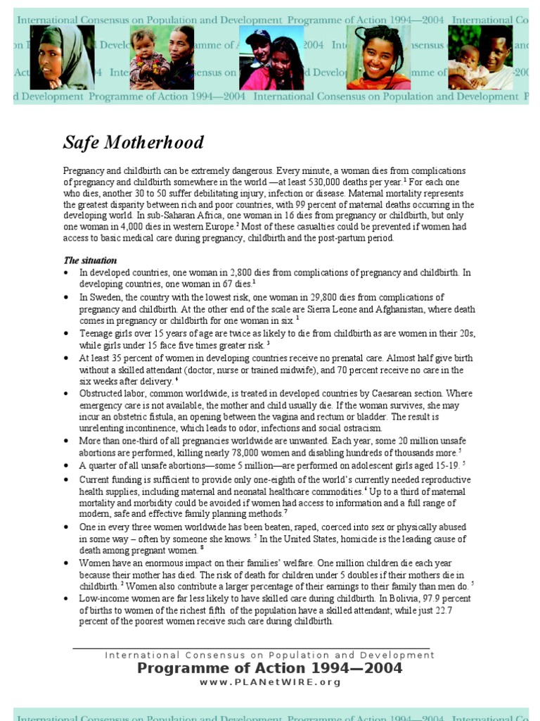 Global Maternal Health Crisis Insights | PDF | Maternal Death ...