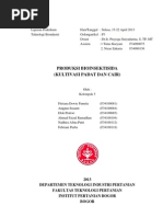 Download laporan bioinsektisida by Fitriana Dewie Pannita SN142792172 doc pdf