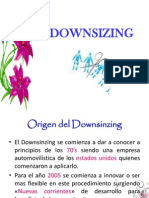 Downsinzing 110511104945 Phpapp01