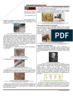 Enem Evolucao e Origem Da Vida 04 Evidencias Da Evolucao