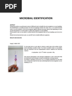 Informe6 Microbiologia