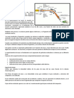 Introducción: Espectrometría de Masas (MS)