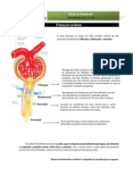 Ficha Trabalho 12-Formação Da Urina