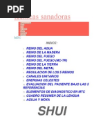 tecnicas sanadoras.docx