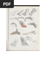 Draw Horses With Sam Savitt
