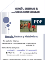 Energía, Enzimas & Metabolismo Celular