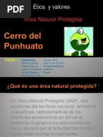 149px x 198px - Tesis Doctoral Antonio Ricarte | Biodiversidad | Organismos