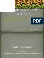 Indice de Madurez Platano .Hessel Valle