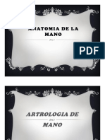 Anatomia de La Mano