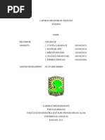 Download Laporan Praktikum Ekologi Suksesi by Fithria Diniyati SN142904367 doc pdf