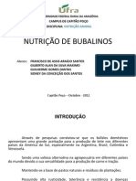 Nutrição de bubalinos: alimentação e produtividade