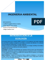 Exposicion Ambiental Completo