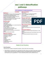 Liver Phases Detox Paths PDF