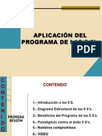 Programa 5 S's