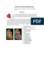 Componentes Do Sistema Cardiovascular