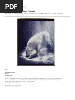 Photographs From the Polaroid Collection Sotheby's