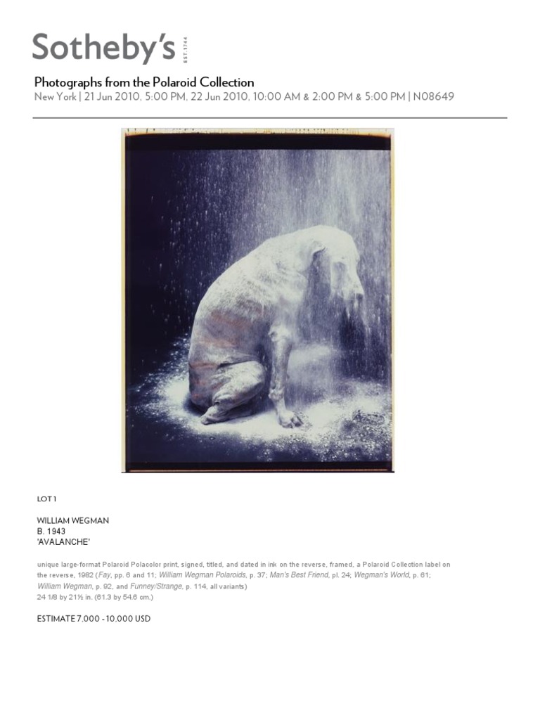 Photographs From The Polaroid Collection Sotheby's | PDF | Camera