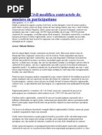 Contractul de Asociere Prin Participatiune, Document