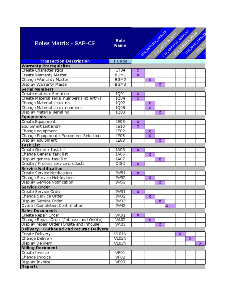 SAP Authorization Roles Matrix | PDF