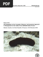 Download Report of the FAO Workshop on Sea Cucumber Fisheries An Ecosystem Approach to Management in the Indian Ocean SCEAM Indian Ocean - FAO by HayZara Madagascar SN142960670 doc pdf
