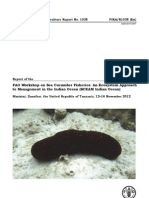 Report of The FAO Workshop On Sea Cucumber Fisheries: An Ecosystem Approach To Management in The Indian Ocean (SCEAM Indian Ocean) - FAO