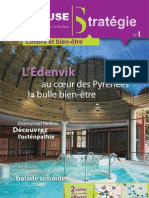 Toulouse Strategie 01ok PDF