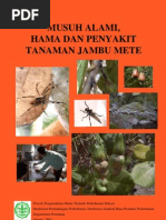 Download Cashew by Fajar Wijayanti SN142978578 doc pdf