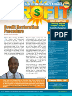The Profit Newsletter May 2013 for Tampa REIA