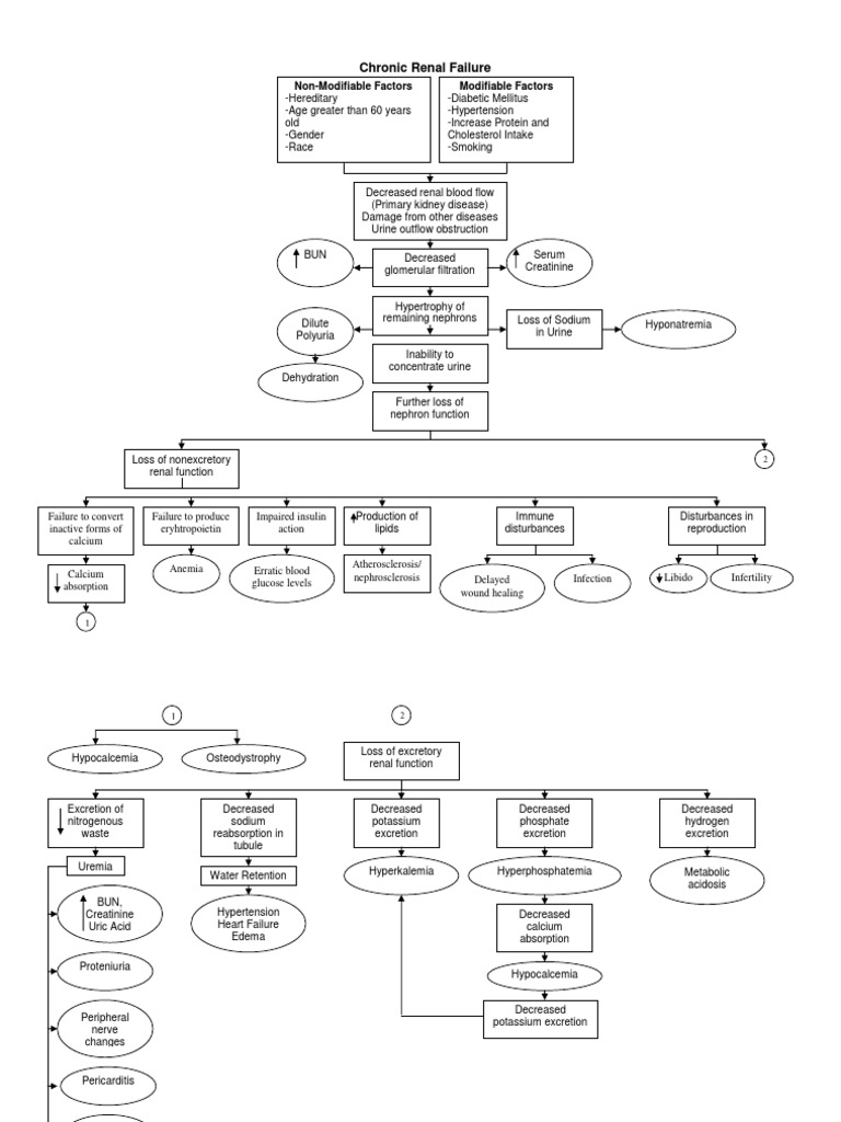 Chronic Kidney Disease Pathophysiology - Schematic Diagram | PDF