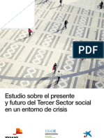 Estudio sobre el presente y futuro del tercer sector social en un entorno de crisis