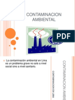 Contaminacion Ambiental