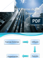 Medio Externo de Las Empresas