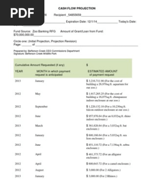 cash flow projection