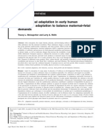 Physiology Adaptation Pregnancy