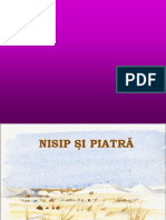 Nisip Si Piatra - Copy - Pps