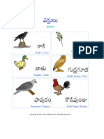 Birds pdfTechnical-Drawing