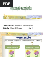 Reprodução nas Plantas
