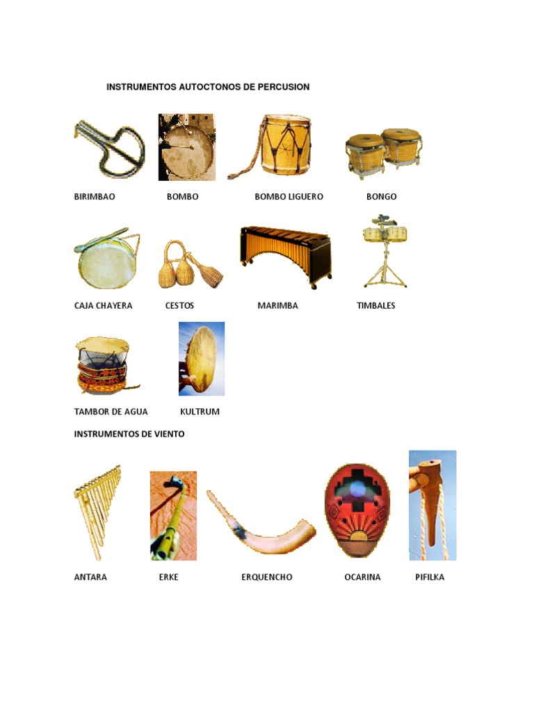 Instruinstrumentos Autoctonos de Guatemala | PDF