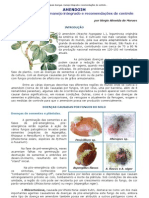 ...AMENDOIM - Principais doenças, manejo integrado e recomendações de controle...pdf
