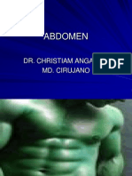 Abdomen